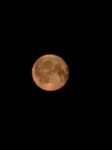 Read more about the article Lasso the moon