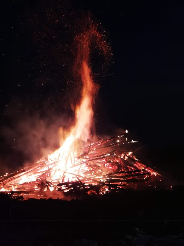 Read more about the article Bones of Fire