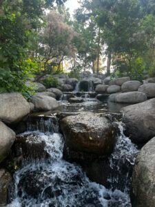Read more about the article Psalms 23