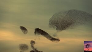 Read more about the article Father in Heaven