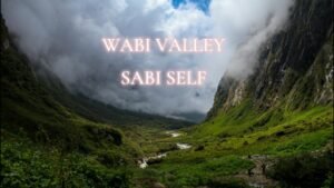 Read more about the article Wabi Sabi Valley
