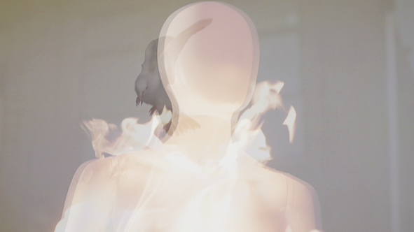 Read more about the article Where is my Soul?